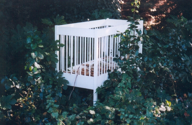 Unwanted in Moravian Burial Ground, Chelsea, London